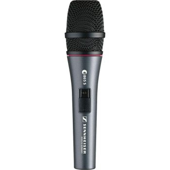 Sennheiser E865S Lead Vocal Condenser Microphone for Vocal Singing, Speech & Pro/Home Recording Studio. Sensitive to every nuances and rugged, ideal for sound reporoduction at home or Live stage