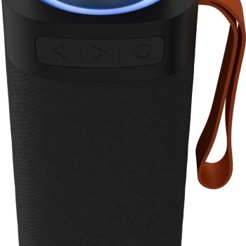 Zebronics Portable BT Speaker, 40W, Upto 6Hrs Playback, Dual 6.35cm Drivers, Passive Radiators, TWS, Type-C Charging, mSD, AUX, IPX5 Water Resistant, Voice Assistant Support (Sound Feast 250, Black)
